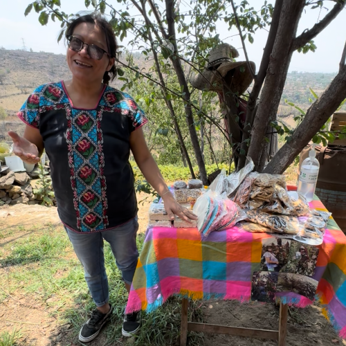 Empowering Women in Oaxaca: Mujeres de Amaranto