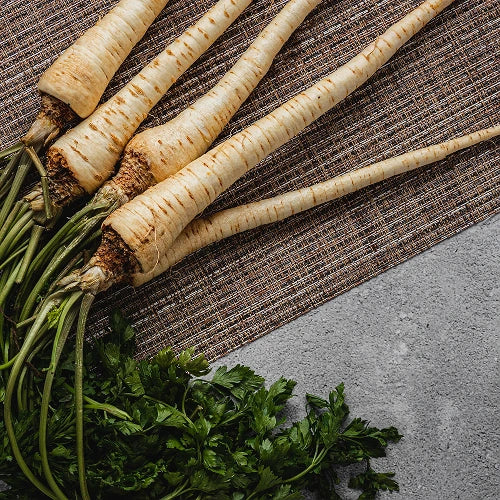 Chicory Root Fiber <br> What is it?